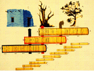 Crossdating illustration, showing comparison of pueblo wooden beams, dead trees, and living trees