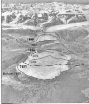 Wastage on Columbia Glacier from 1980 to 2001