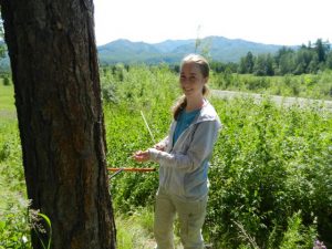 Sarah Frederick '15 coring a larch tree in the Eastern Range