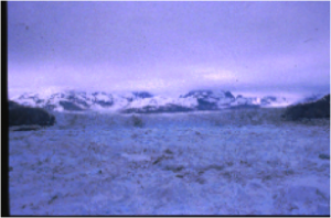 Calving Margin of Columbia Glacier