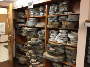 Tree Ring Core Storage Shelves in the Original Lab