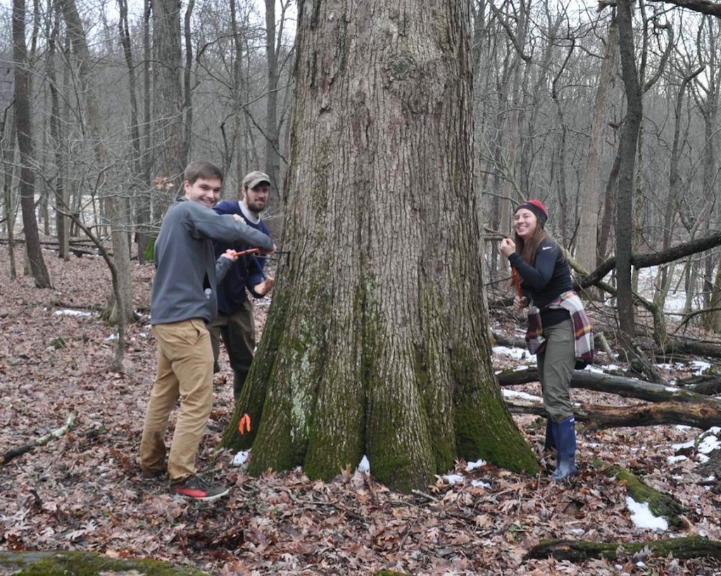 Tree Coring at Brown's Lake Bog