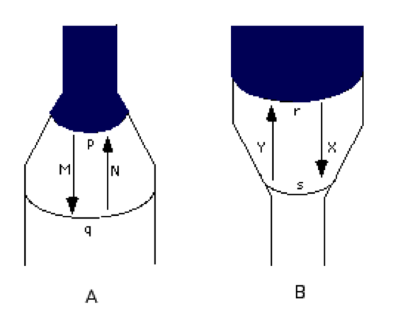 Effect of Fjord Geometry on Glacial Advance and Retreat -- (A) Fjord widens -- (B) Fjord narrows 