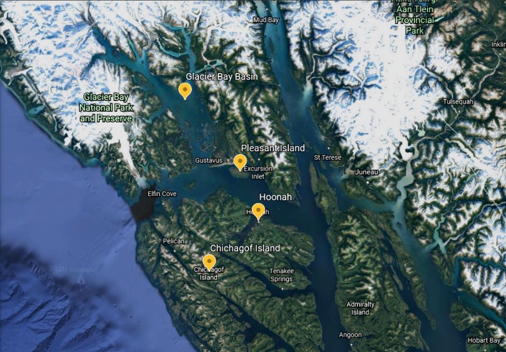 Summer Research | The College of Wooster Tree Ring Lab