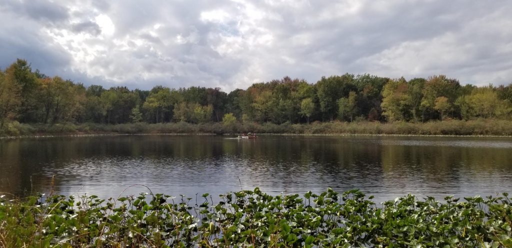 The College of Wooster Tree Ring Lab | Learning about environmental ...
