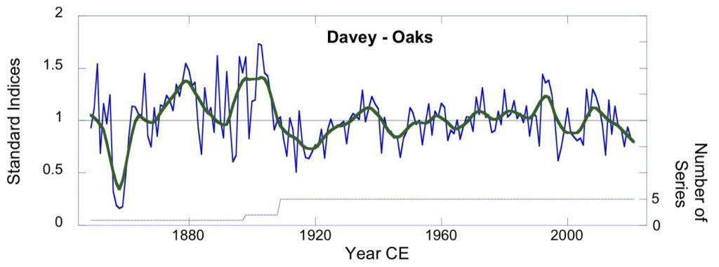 The College of Wooster Tree Ring Lab | Learning about environmental ...
